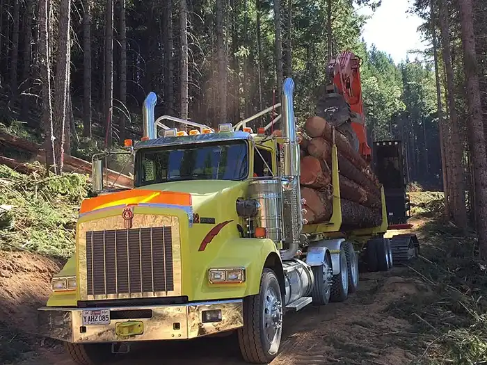 Image of Cherry wood is highly demanded because of its beautiful reddish-brown color and easy of staining and finishing. Cherry wood is commonly used for furniture, is resistance to wear, but more expensive than most other woods. from Amazon.com