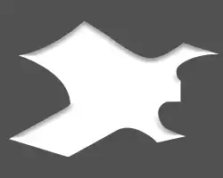 Image of B.C. Rich Warlock®