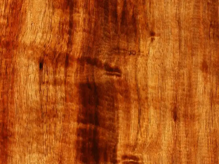 Image of Koa (Acacia koa) wood
