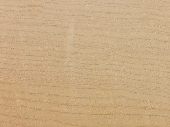 Image of Maple, Tiger (Curly) (Acer saccharum) wood