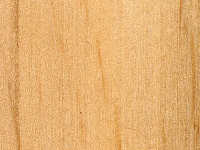 Image of Alder (Alnus glutinosa) wood