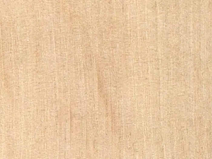 Image of Hornbeam (Carpinus betulus) wood