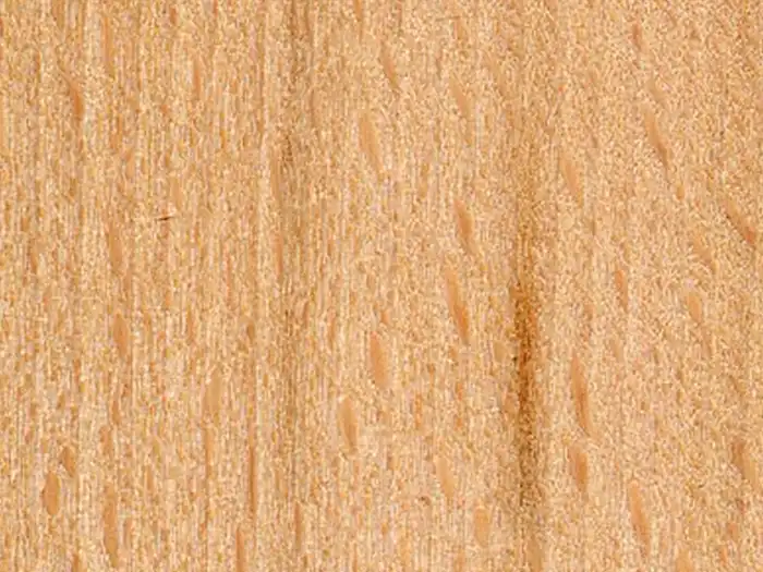 Image of Beech (Fagus sylvatica) wood