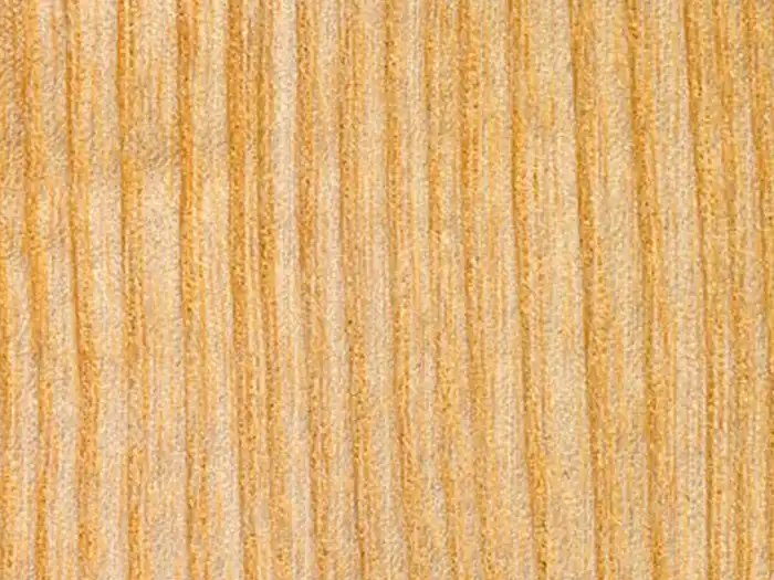 Image of Ash (Fraxinus excelsior) wood