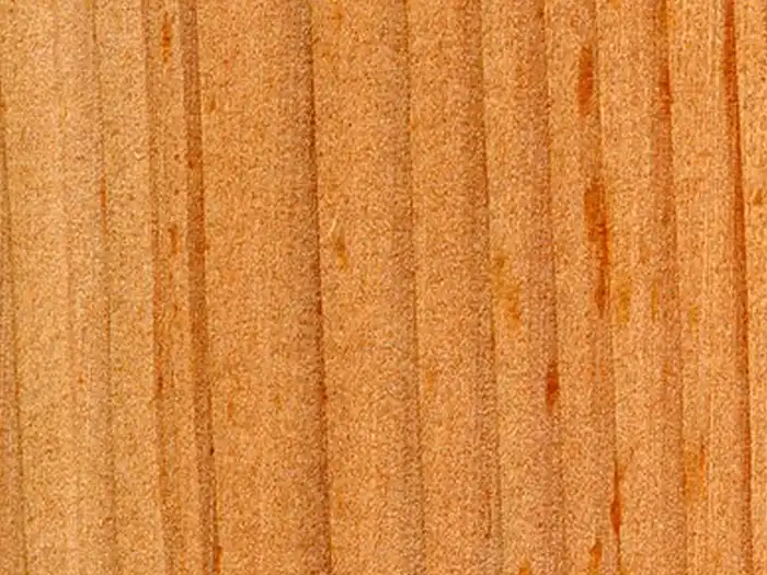 Image of Larch, European (Larix decidua) wood