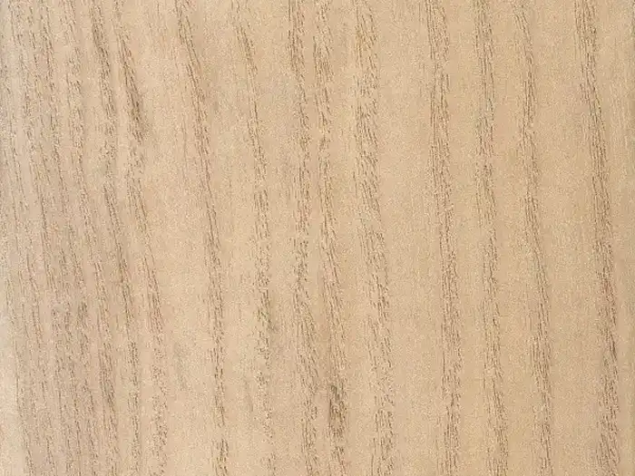 Image of Paulownia (Paulownia tomentosa) wood