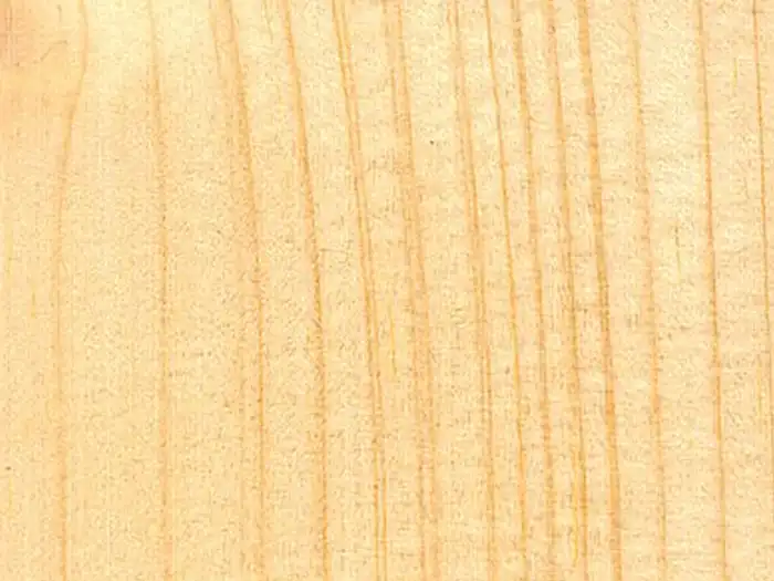 Image of Spruce, Norway (Picea abies) wood