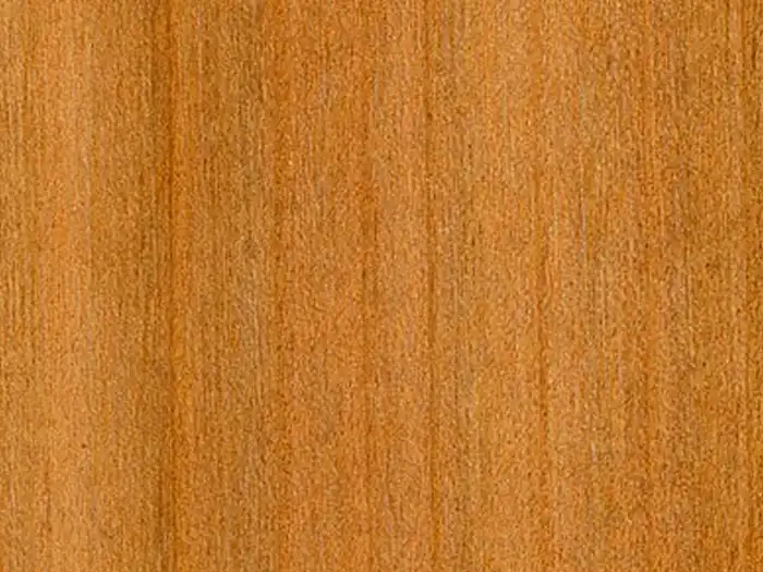 Image of Cherry, Wild (Prunus avium) wood