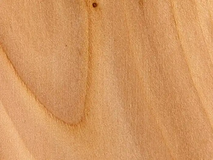 Image of Pear (Pyrus communis) wood
