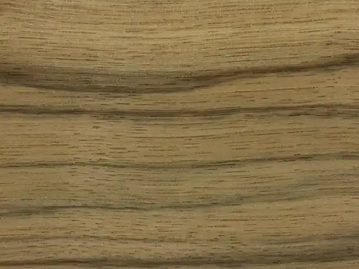 Image of Korina (Terminalia superba) wood