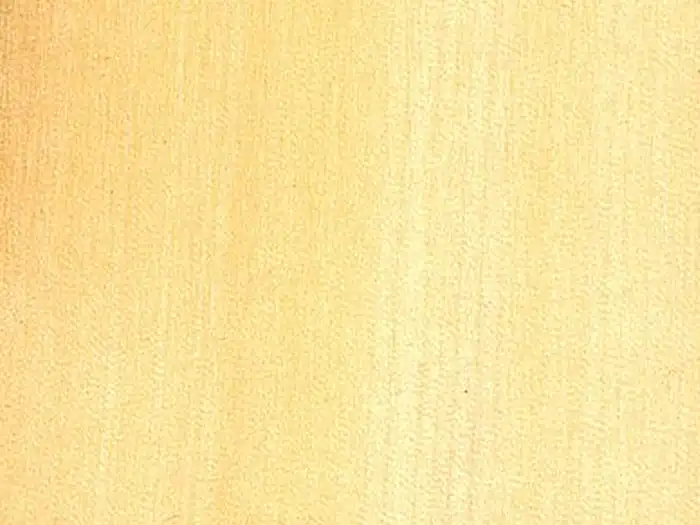 Image of Lime, Small-leaved (Tilia cordata) wood